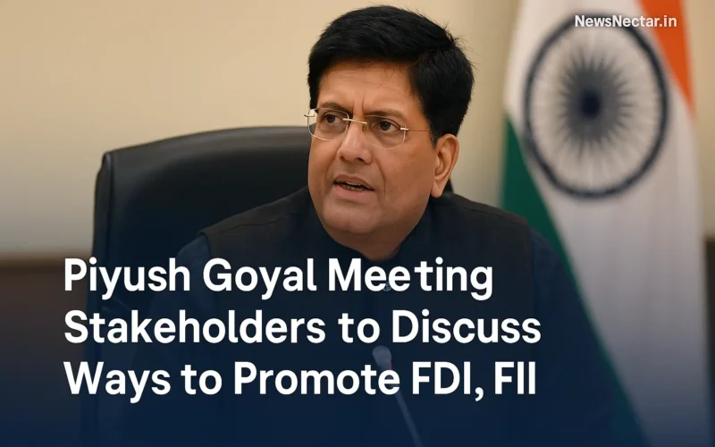 FDI Promotion