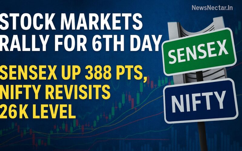 stock markets rally